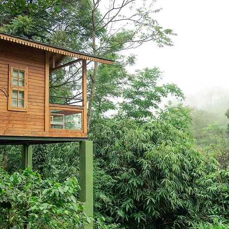 Misty Mountain Experience By Perfect Stays Pirmed Exterior photo