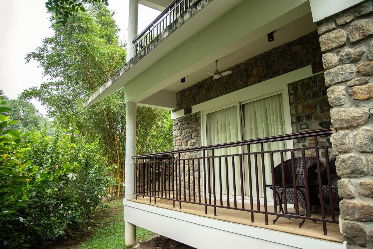 Misty Mountain Experience By Perfect Stays Pirmed Exterior photo