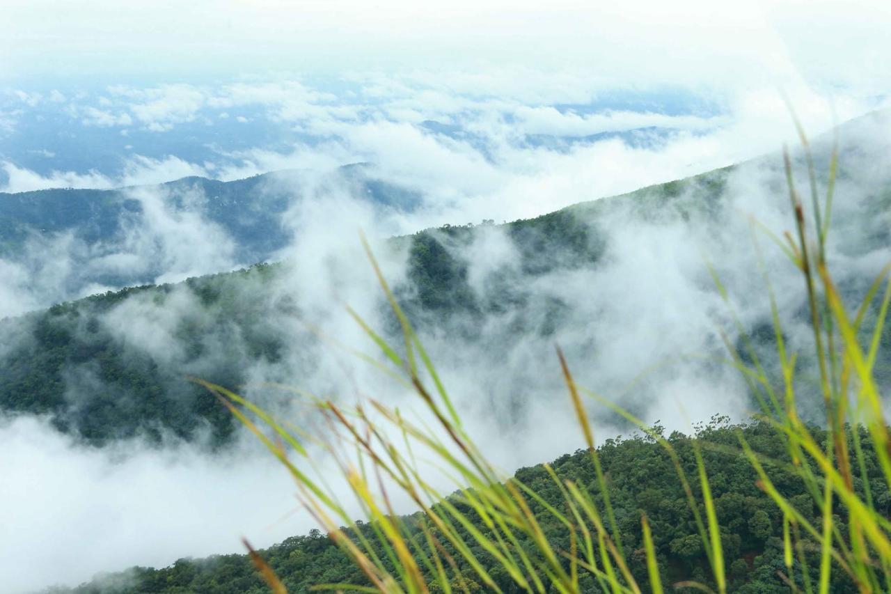 Misty Mountain Experience By Perfect Stays Pirmed Exterior photo