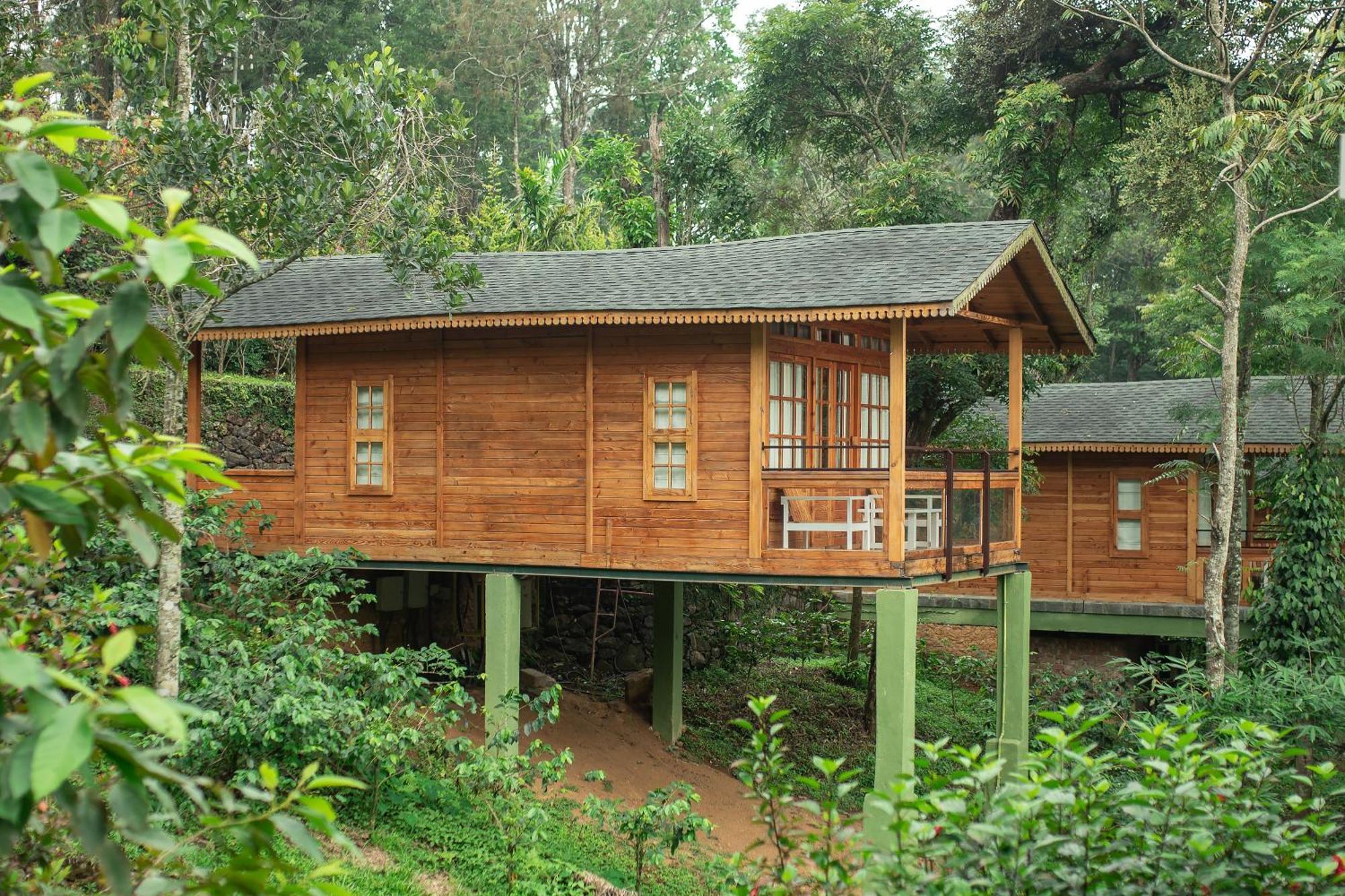 Misty Mountain Experience By Perfect Stays Pirmed Exterior photo